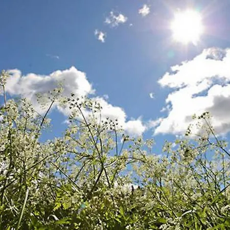 Kultaranta By Interhome Ferienhaus