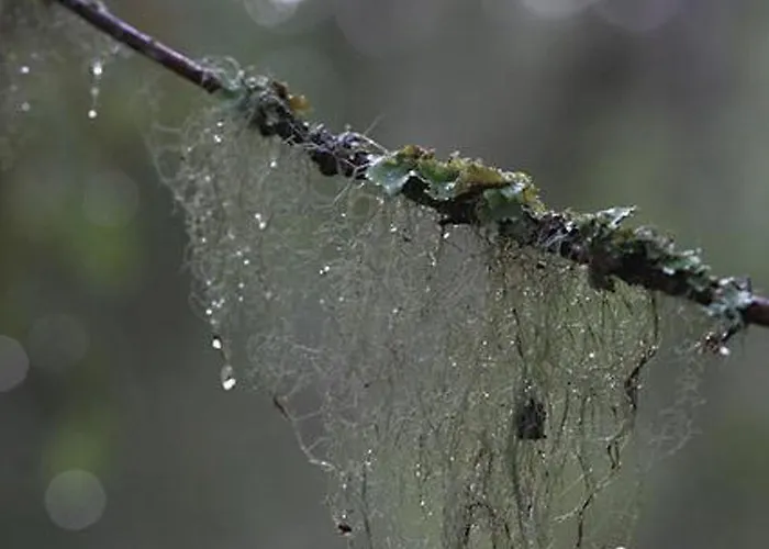 펜션 Kultaranta By Interhome *